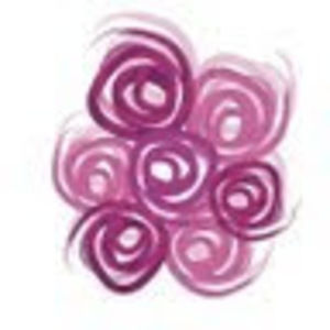 Meet your Posher, Nashville